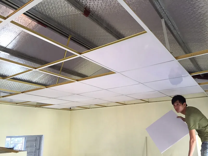 Các Yếu Tố Thực Tế ảnh Hưởng đến Giá Trần Thả Nhựa