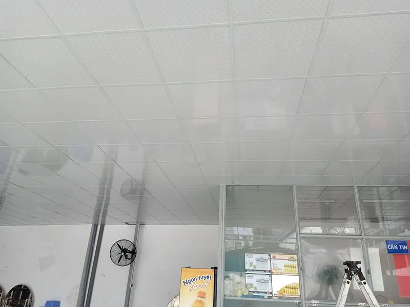 Mau Tran Nhua Tha 60x60 1