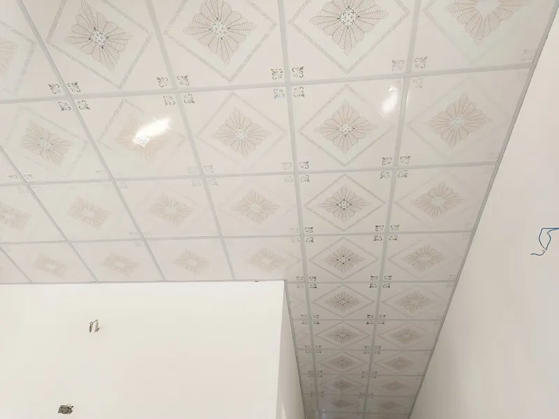 Mau Tran Nhua Tha Phong Tro