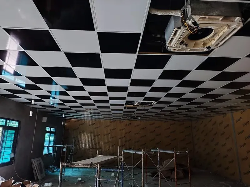 Mau Tran Tha Nhua Cho Quan Bi A