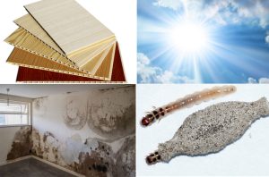 Những Yếu Tố Gây Hại Mà Tường Nhựa Nano Khó Tránh Khỏi