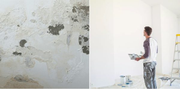 Quy Trình Xử Lý Và Sơn Lại Tường ẩm Mốc đúng Kỹ Thuật