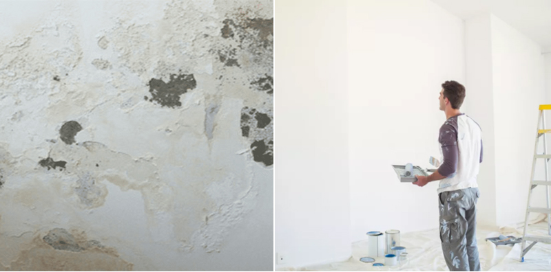 Quy Trình Xử Lý Và Sơn Lại Tường ẩm Mốc đúng Kỹ Thuật