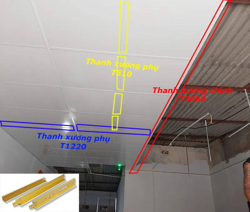 Đi Xương Chính Phụ & Thả Tấm